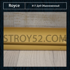 Дуб Обыкновенный 817
